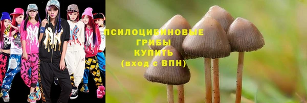 альфа пвп Богданович