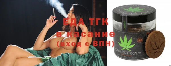гашик Богородицк