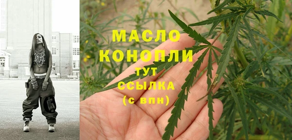индика Беломорск