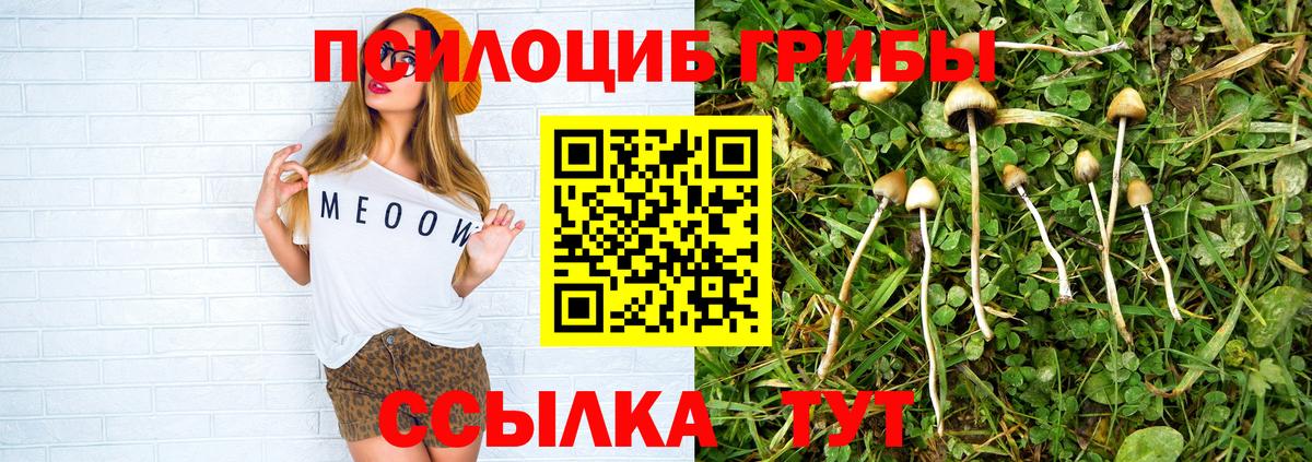 Маркс  Псилоцибиновые грибы мицелий  Вход с VPN 