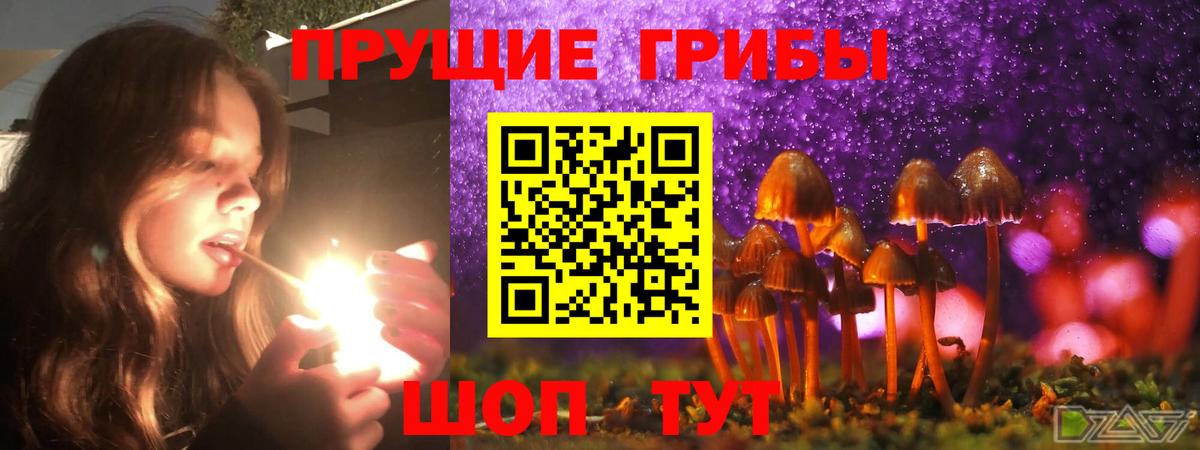 Галлюциногенные грибы мицелий Маркс